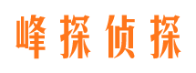 武都寻人公司